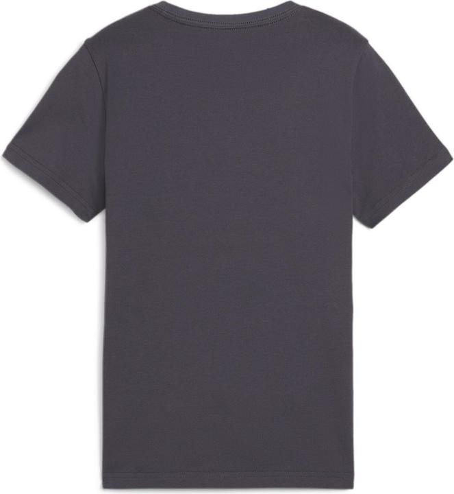 Actual product image Puma ESS+ MID 90s Graphic Tee B (176)