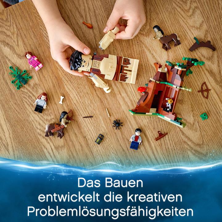 Produktbild LEGO Der Verbotene Wald: Begegnung mit Umbridge (75967, LEGO Harry Potter)