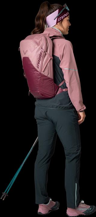 Image du produit Dynafit Veste Transalper GORE-TEX (XL)