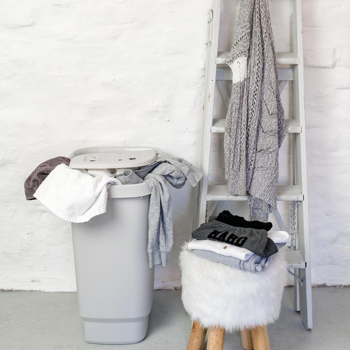 Actual product image Rotho Flowers (55 l)