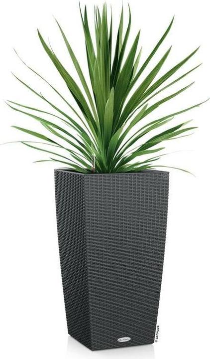 Actual product image Lechuza Cubico Cottage (29.50 cm)