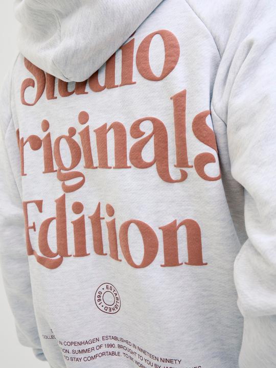 Actual product image Jack & Jones Rückenprint Kapuzenpullover Kapuzenpullover (XS)
