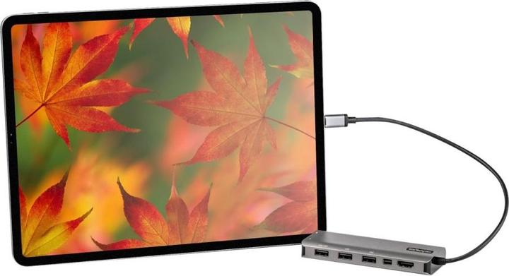 Actual product image StarTech DKT31CMDPHPD (USB-C, 7 Ports)