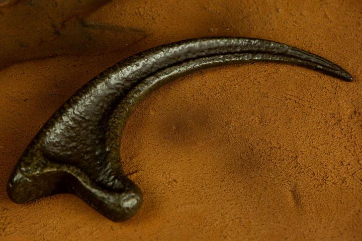 Actual product image Doctor Collector Jurassic Park: Adventure Kit