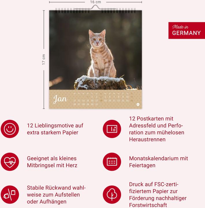 Produktbild Katzen Postkartenkalender Kleine Tiger 2026 (16 x 17 cm, Harter Einband, Deutsch)
