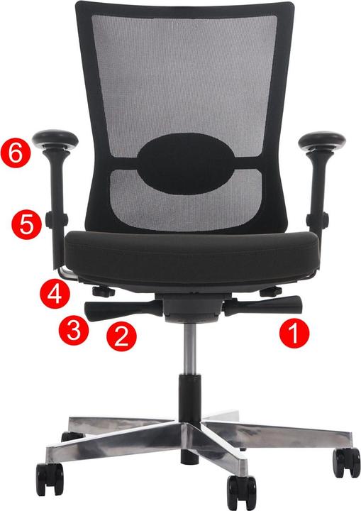 Actual product image Merryfair Forte