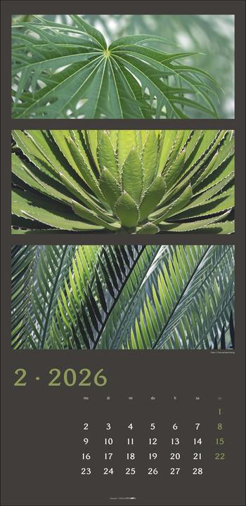 Produktbild Die Farben der Natur Kalender 2026 (33 x 68 cm, Deutsch)