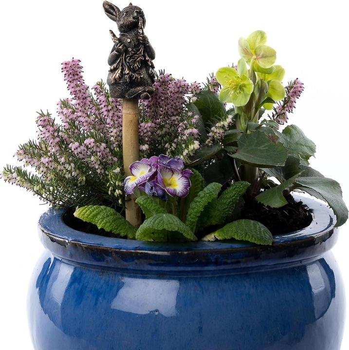 Image du produit Jardinopia Cane Companions Peter Rabbit (autres éléments)
