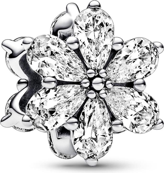 Immagine prodotto Pandora Senza tempo (Argento 925)