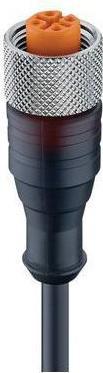 Actual product image Belden M12 Fem Droit Pur