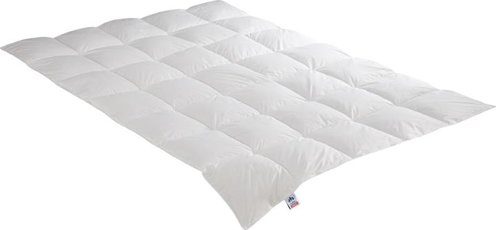 Produktbild Irisette Daunensteppbett Edda medium (540 g, 135 x 200 cm)
