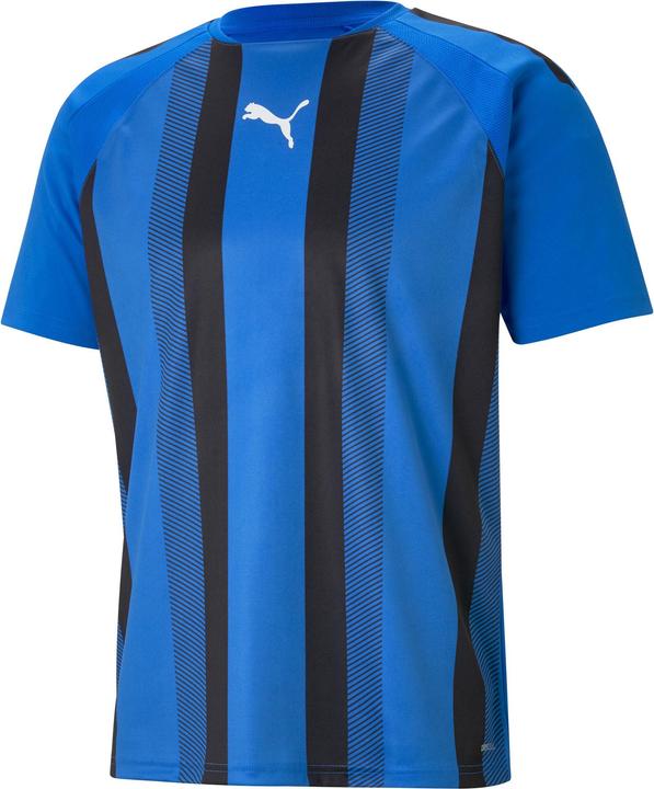 Actual product image Puma Team Liga Striped (XS)