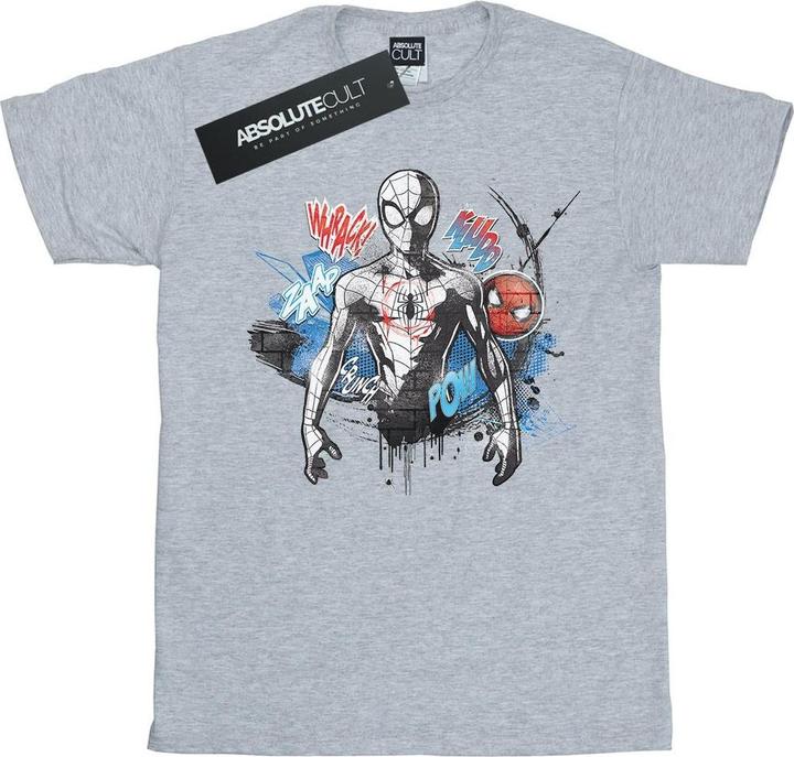 SpiderMan Graffiti Pose TShirt (XL)
