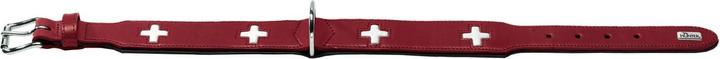 Actual product image Hunter Swiss (Dog, Dog sport)