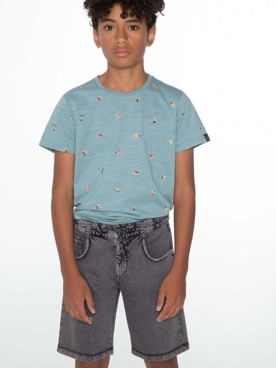Actual product image Protest Shorts Orlin (164)