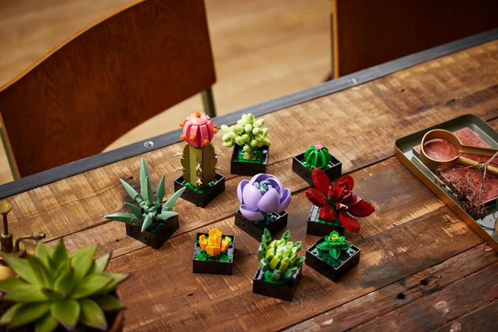 Immagine prodotto LEGO Succulente (10309, LEGO Botanical, Set LEGO rari)