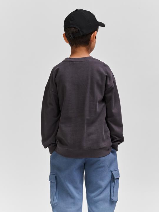Image du produit hummel hmlALLTON SWEATSHIRT (152)