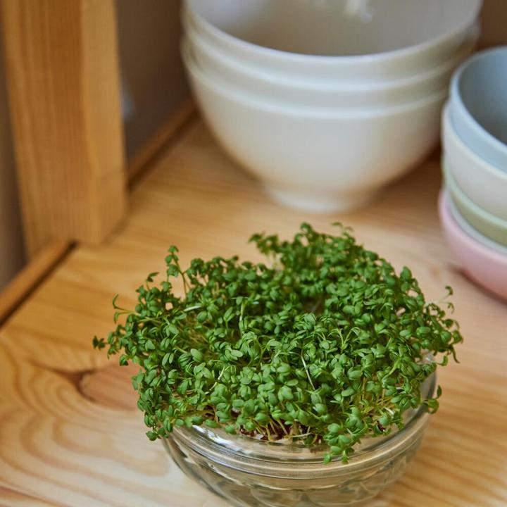 Actual product image Siena Garden Sprout glass