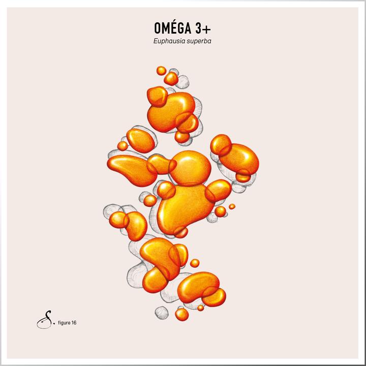 Actual product image Sekoya Omega 3+ | DHA & EPA (90 Piece, Capsules)