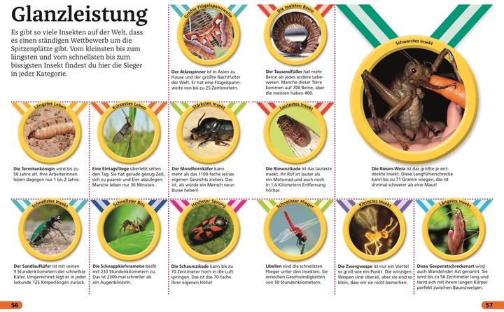 Produktbild Superchecker! Insekten (Deutsch, Andrea Mills, Wolfgang Beuchelt, Brigitte Rüssmann, 2022)