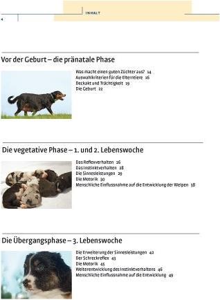Produktbild Kosmos Vom Welpen zum Familienhund mit Natural Dogmanship (Deutsch, JAN, Nijboer, 2015)