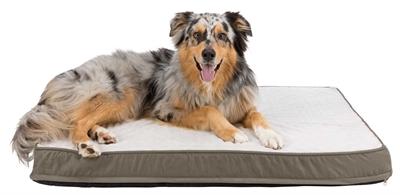 Productafbeelding Trixie Vitaal (Hond, Kat)