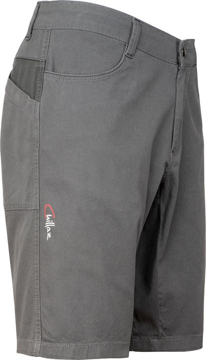 Actual product image Chillaz Elias shorts (L)
