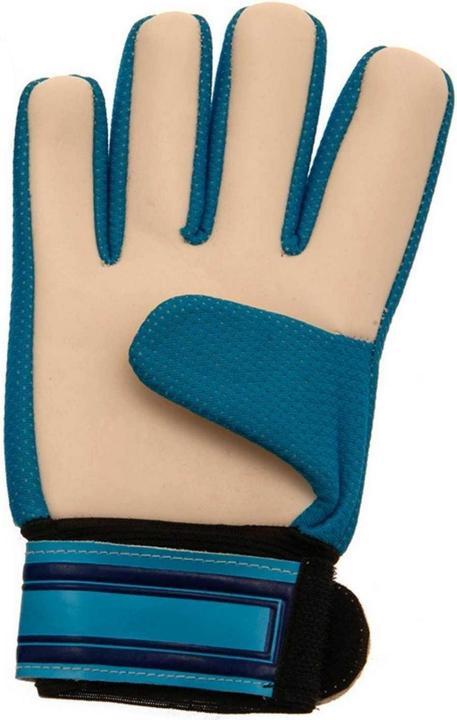 Produktbild Tottenham Hotspur FC TorhüterHandschuhe (5, 6, 7, 8, 9, 10)