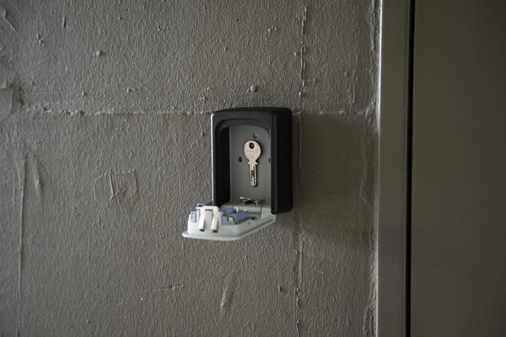 Actual product image Paladin Key safe