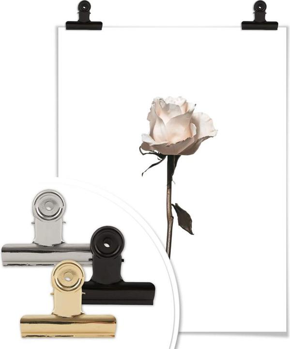 Immagine prodotto Trenddeko La rosa bianca (30 x 40 cm)