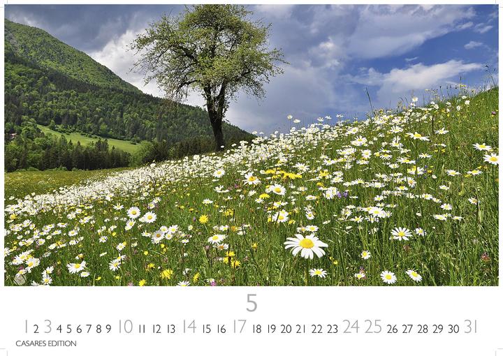 Produktbild Blumenwiese 2026 L 35x50cm (35 x 50 cm, Deutsch)