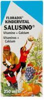 Produktbild Floradix Salusino Kindervital Liquid (1 Stück, Flüssigkeit, 450 g)