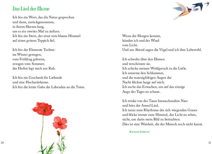 Produktbild Wo Blumen blühen, da lächelt die Welt (Deutsch, Beate Kahramanlar, Kristina Schaefer, Marjolein Bastin, 2022)