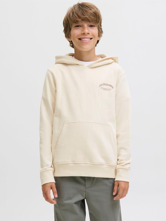Actual product image Jack & Jones Jjebrandes Backp Relaxed Sweat H Sn Jnr (152)