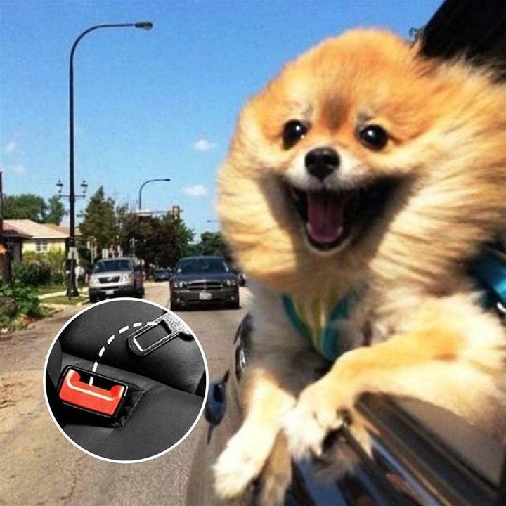 Image du produit Intirilife Ceinture de sécurité pour chiens (Chien, Réflecteurs)