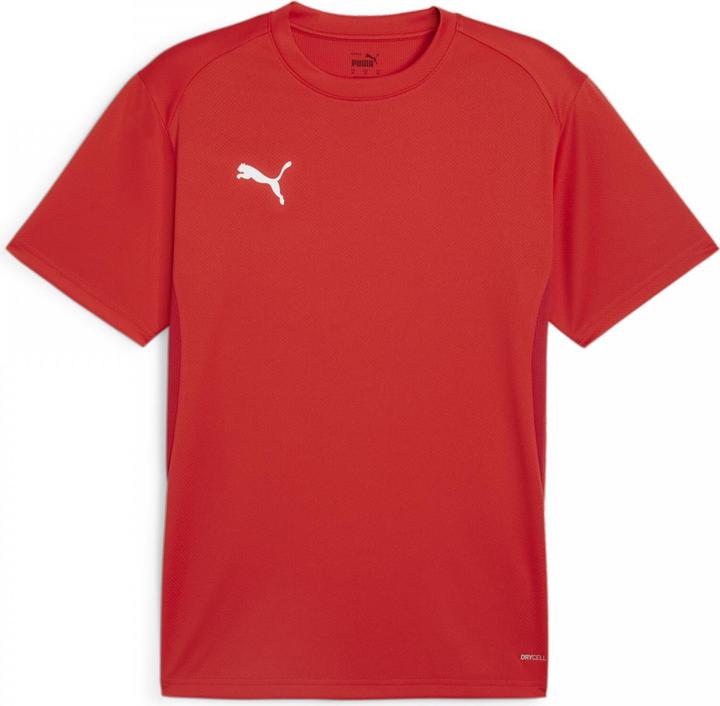 Actual product image Puma teamGOAL Jersey (3XL)