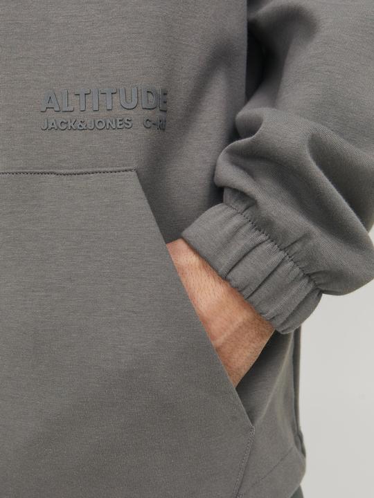 Image du produit Jack & Jones Jcoaltitude Sweat Hood Sn (S)