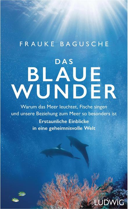 Produktbild Das blaue Wunder (Deutsch, Frauke Bagusche, 2019)