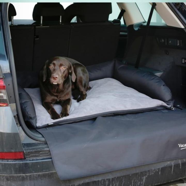 Image du produit Kerbl Coussin pour bottes (Chat, Chien, Réflecteurs, Respirant, Lavable en machine)