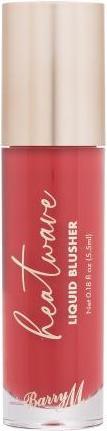 Actual product image Barry M Heatwave Liquid Blusher (Retreat)