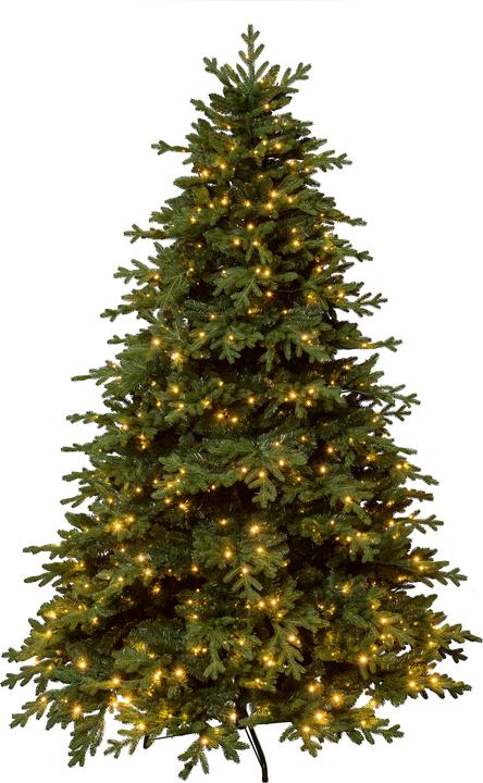 STT Weihnachtsbaum (300 cm)