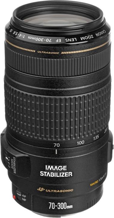 Canon EF 70-300mm f/4-5.6 IS USM - Import (Canon EF, Vollformat)