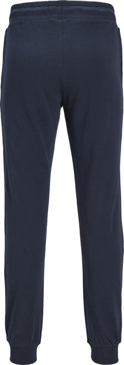 Produktbild Jack & Jones Plus Size Regular Fit Jogginghose Jogginghose (50)