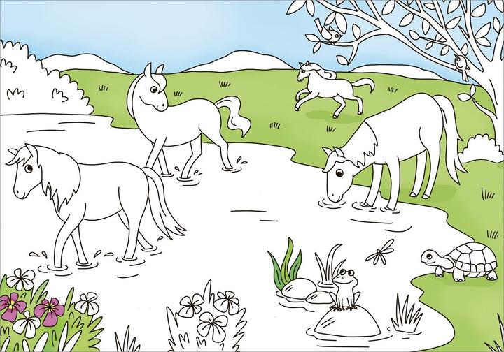 Immagine prodotto Tessloff Il mio libro da colorare più bello. Cavalli e pony