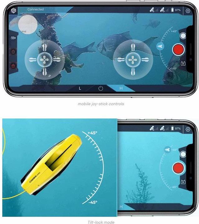 Image du produit Chasing Dory