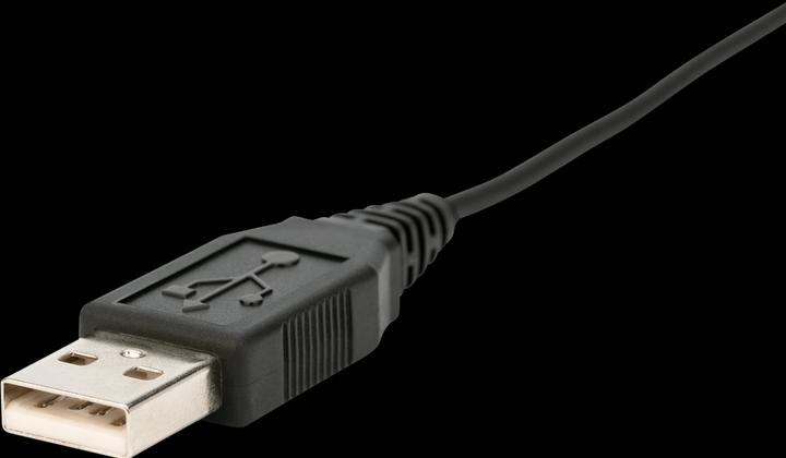 Actual product image GN Netcom Jabra Biz 2300 Duo (Cable, USB-C)