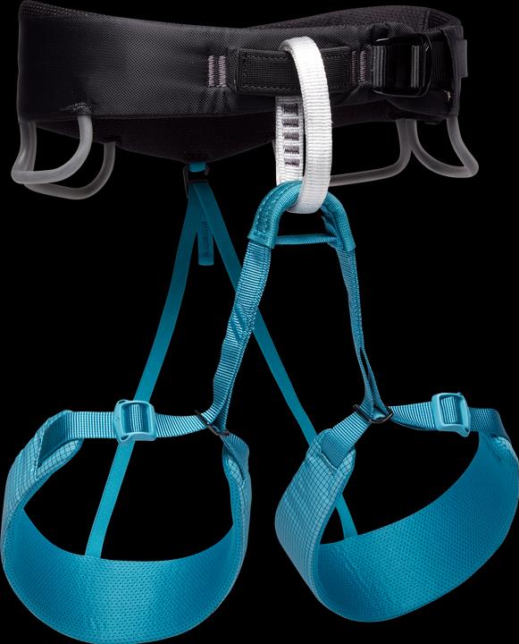 Image du produit Black Diamond Harnais d'escalade Momentum (L)