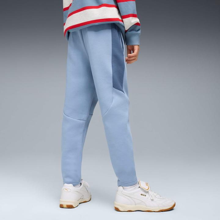 Image du produit Puma EVOSTRIPE Pants DK B (140)