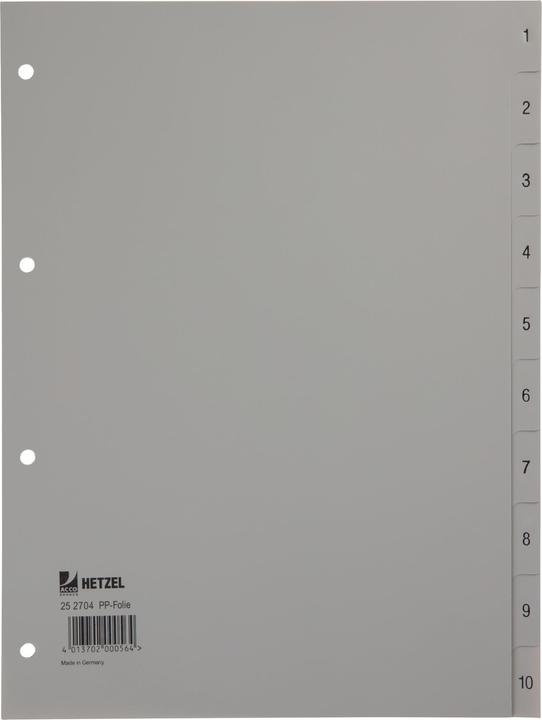 Actual product image Rexel Plastic register for A4