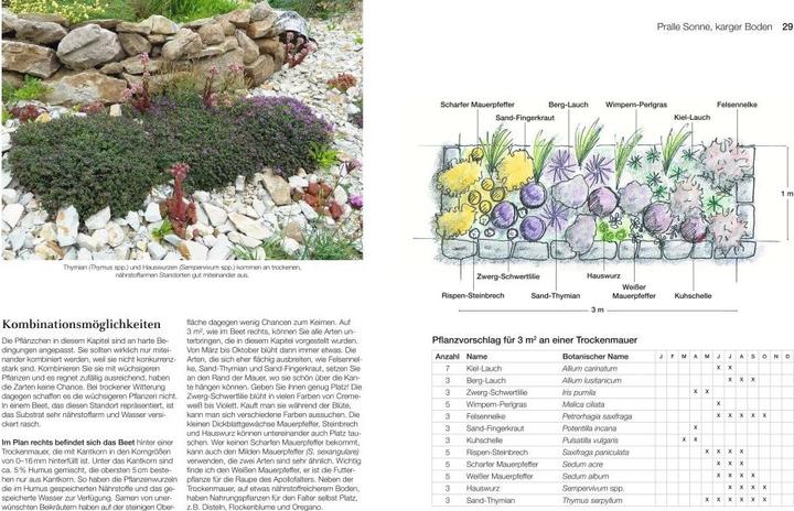 Produktbild Welche Pflanze passt wohin im Naturgarten? (Deutsch, Paula Polak, 2020)